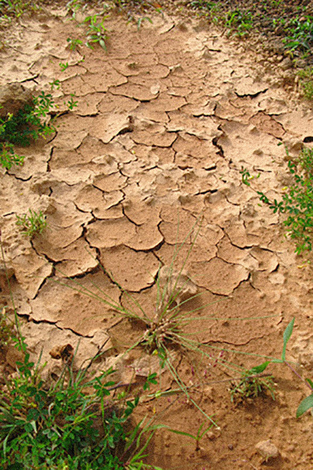 Medidas urgentes contra la sequía del real decreto de ley