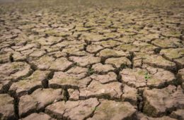 España vuelve a entrar en situación de sequía meteorológica